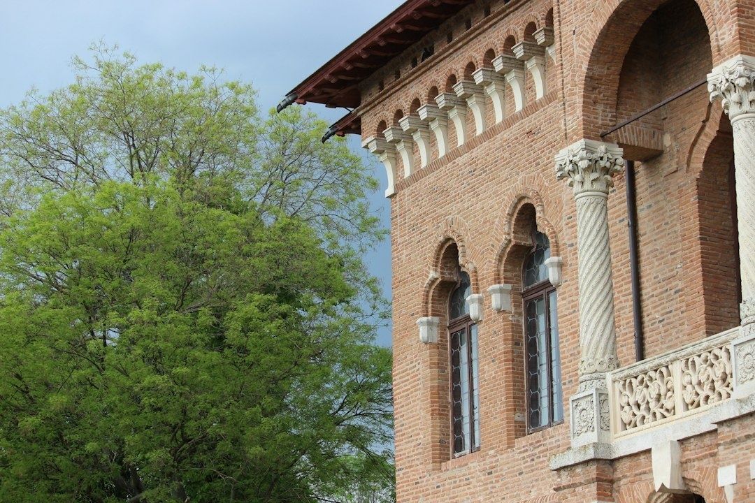 Verzierte Backsteinfassade eines historischen Synagogenbaus neben einem Baum